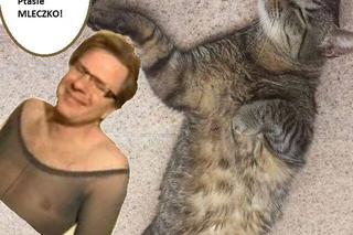 Kot Filipa Chajzera stał się bohatrem memów!