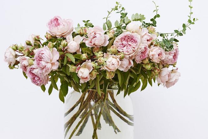 peonie kwiaty na Dzień Matki
