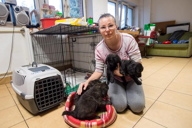 Przygarnij zmarźlaki