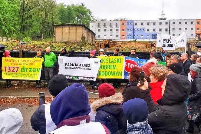 Protest przeciw wycince drzew w Parku Śląskim