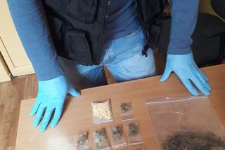Marihuana, tabletki ekstazy oraz grzyby psylocybinowe nie trafią do klientów