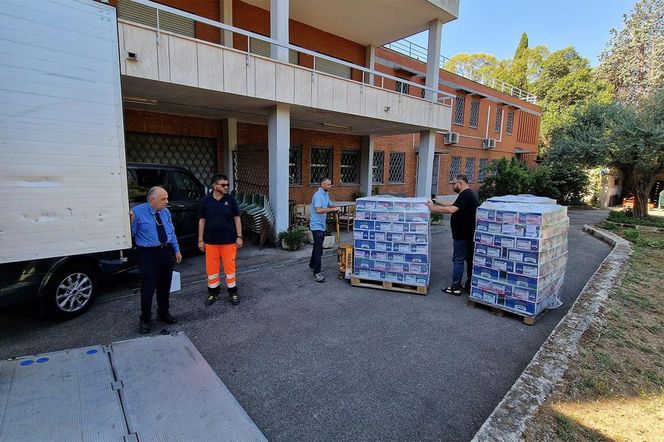 Ostatni dar Franciszka dla Ukrainy. 131 ciężarówka z pomocą