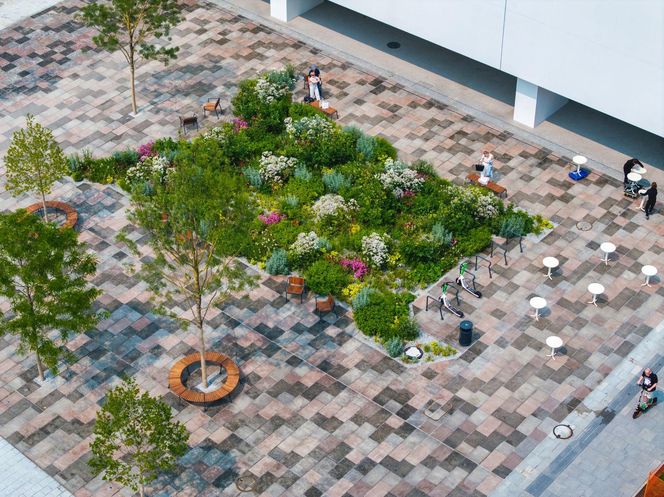 Muzeum Sztuki Nowoczesnej