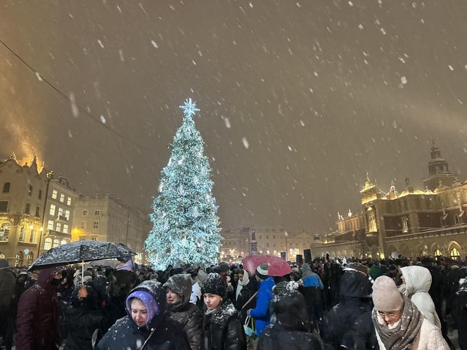 Choinka rozbłysła na Rynku Głównym. Tak wygląda Kraków w zimowej scenerii! 