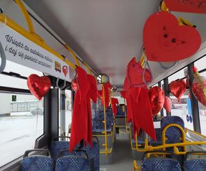 Zakochany autobus linii nr 18 można spotkać na ulicach Siedlec tylko w walentynki 2025!