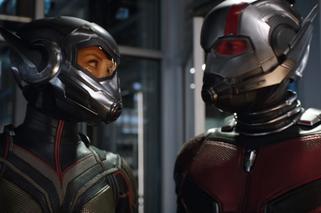 Ant-Man i Osa - wyciekła scena po napisach. Zdradza to co zobaczymy w 'Avengers IV' [VIDEO]