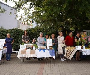 Dzień Cukinii. Integracyjne Święto Warzywa w Siedlcach