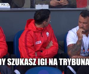 Memy po meczu Holandia - Polska