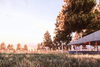 Ścieżka w koronach drzew w Zwierzyńcu według Autograf Studio