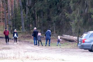 Zakaz wstępu do lasów na Podlasiu. Ma to pomóc w walce z koronawirusem