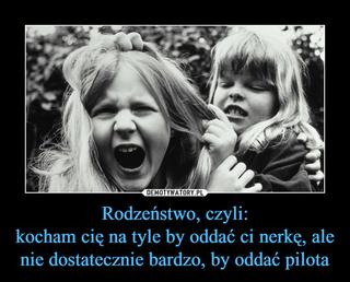 Dzień Rodzeństwa - memy, które wyślesz swojej siostrze albo bratu!
