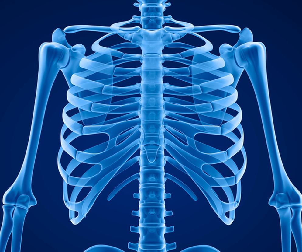 Wyrostek mieczykowaty - co to jest i gdzie się znajduje?