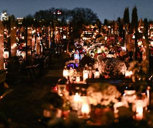 1 listopada na Cmentarzu Łostowickim w Gdańsku. Tak wygląda w dniu Wszystkich Świętych