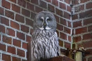 ZOO Wrocław ze specjalną ofertą. Dodatkowy dzień zwiedzania za darmo 