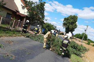 Niszczycielska burza na Opolszczyźnie. Grad i porywisty wiatr spowodowały straty