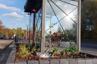 Zielone przystanki w Katowicach: droższe są tylko ławeczki patriotyczne 