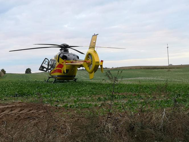 Osobówka wypadła z drogi i wbiła się w drzewo! Ranna matka i malutka dziewczynka