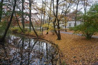 Park Sołacki w Poznaniu jesienią