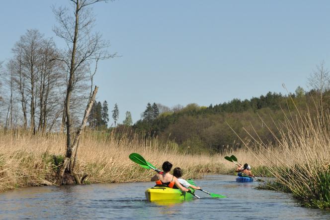 Spływy kajakowe