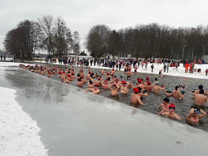 Olsztyńskie morsy nadal aktywne