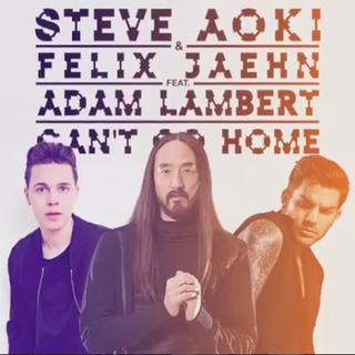 Steve Aoki & Felix Jaehn feat. Adam Lambert - Can’t Go Home