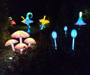 Park iluminacji w Lublinie