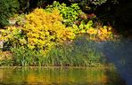 Ogród Botaniczny we Wrocławiu