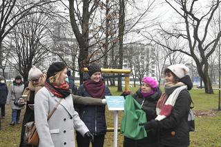 Powstańcy zapuścili korzenie. 20 drzew dla bohaterów w parku na Woli