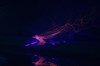 13. Bella Skyway Festival w Toruniu