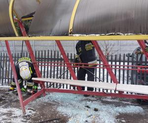 Wypadek autobusu. Staranował przystanek