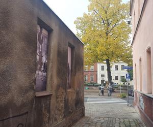 Piękno bez retuszu. Nietypowa galeria fotografii Petera Lindbergha w Lesznie