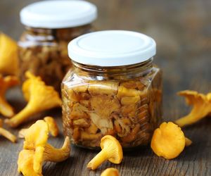 Kurki w zalewie solnej – zachowaj smak lasu na dłużej! Kurki pasteryzowane w solance krok po kroku