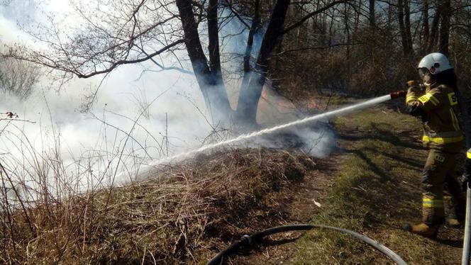 Potężny pożar na Śląsku! Strażacy kilka godzin walczyli z ogniem