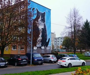 Mural z kotem Gackiem już odsłonięty