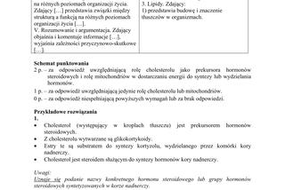 Matura 2018 z biologii [ARKUSZE CKE, ODPOWIEDZI]