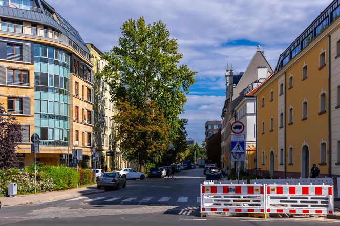 Kępa Mieszczańska we Wrocławiu - widok z drona