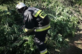 Żywioł nie odpuszcza. Prawie 900 zgłoszeń po gwałtownej pogodzie