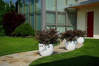 Meble i dodatki na taras 