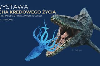 Kazimierz Dolny - Echa kredowego życia w Muzeum Przyrodniczym [AUDIO]