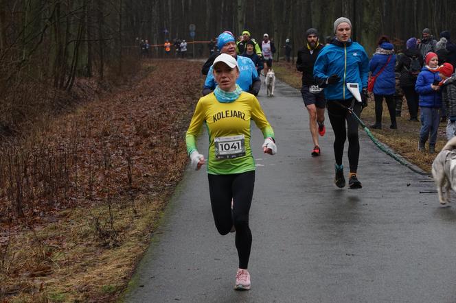 City Trail w Bydgoszczy. Miłośnicy biegania opanowali Myślęcinek [ZDJĘCIA]