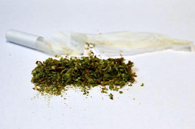 Nastolatek z Elbląga wpadł po uszy! Policja znalazła przy nim jointy z marihuany!
