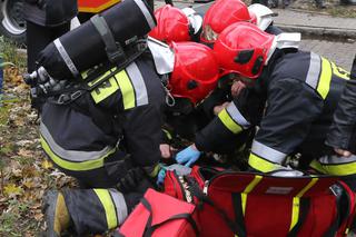 Reanimacja kotka w Olsztynie