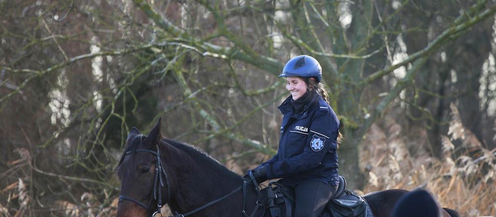 Policja konna z Poznania ma nowego współpracownika