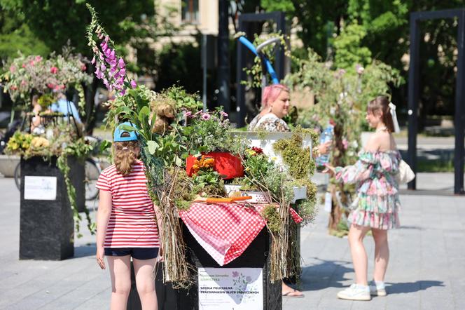 Weekend z florystyką w Lublinie. Zobacz imponujące roślinne instalacje w centrum miasta!