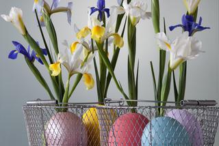 Oryginalna dekoracja na Wielkanoc: irysy w wazonach z jajek. Instrukcja krok po kroku