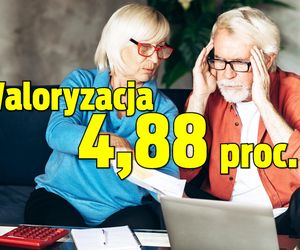 Waloryzacja 4,88