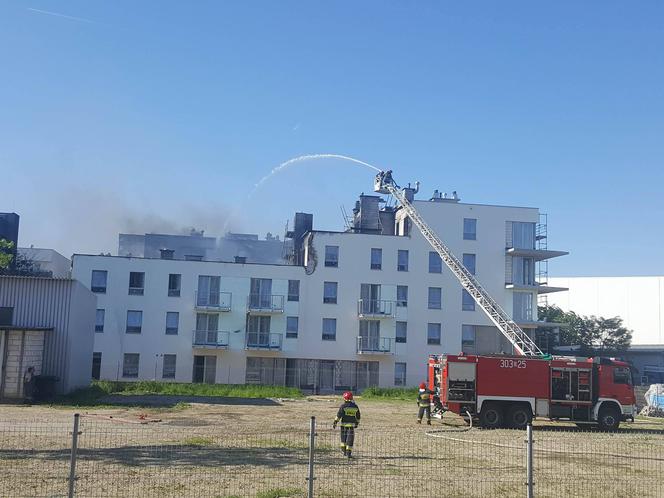 Kłęby dymu we Wrocławiu. Duży pożar na południu miasta