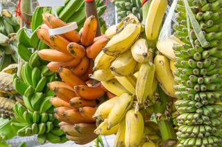 Gatunki bananów - jakie odmiany bananów możesz kupić w polskich sklepach, do czego się nadają?