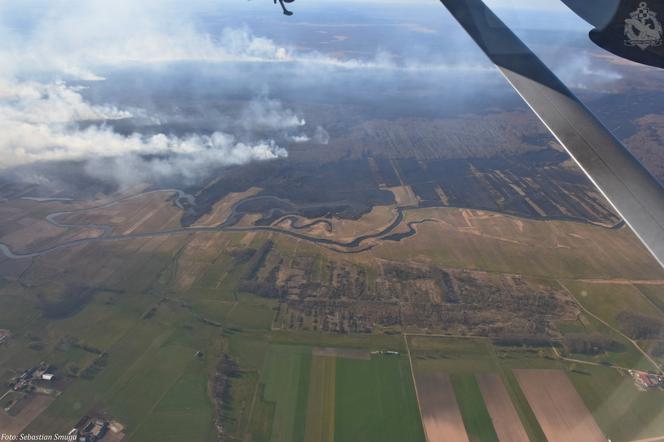 Pożar w Biebrzańskim Parku Narodowym. Zdjęcia z lotu ptaka pokazują skalę katastrofy