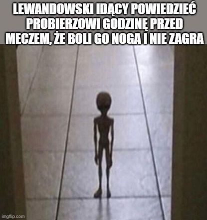 Polska - Chorwacja memy